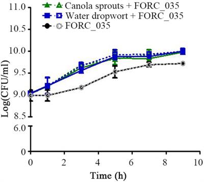 Transcriptomic Analysis of Shiga Toxin-Producing Escherichia coli FORC_035 Reveals the Essential Role of Iron Acquisition for Survival in Canola Sprouts and Water Dropwort